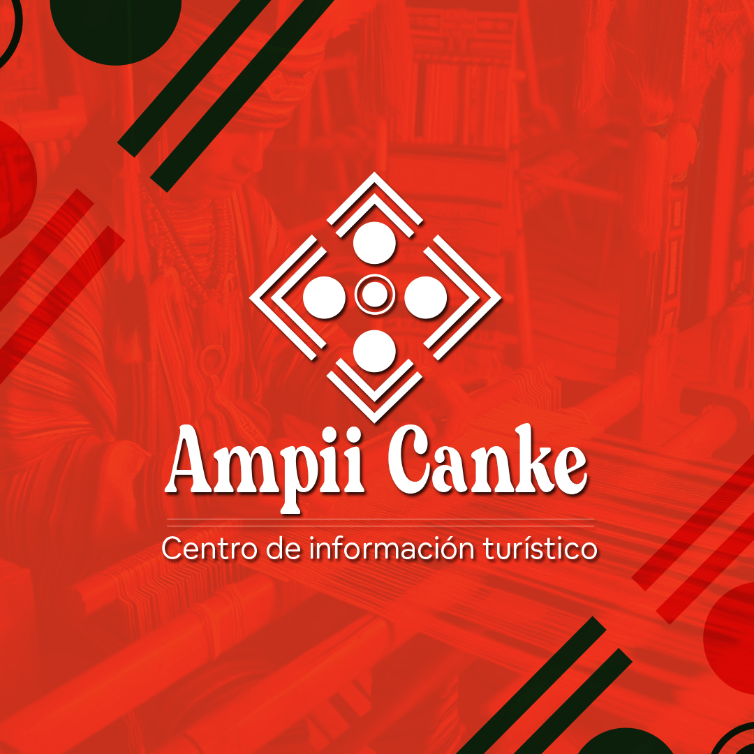 Imagen 10